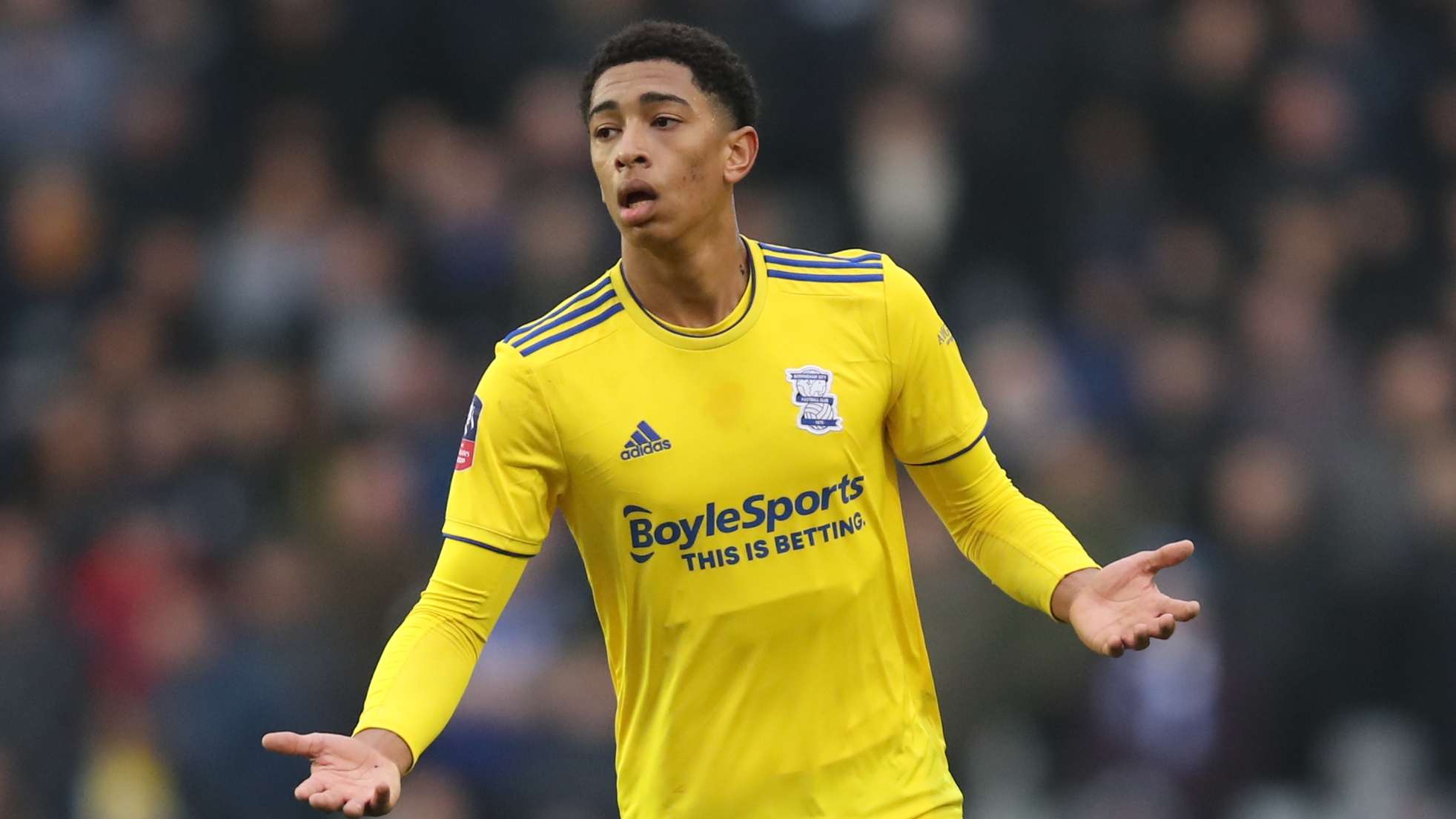 的骄人战绩 的骄人战绩