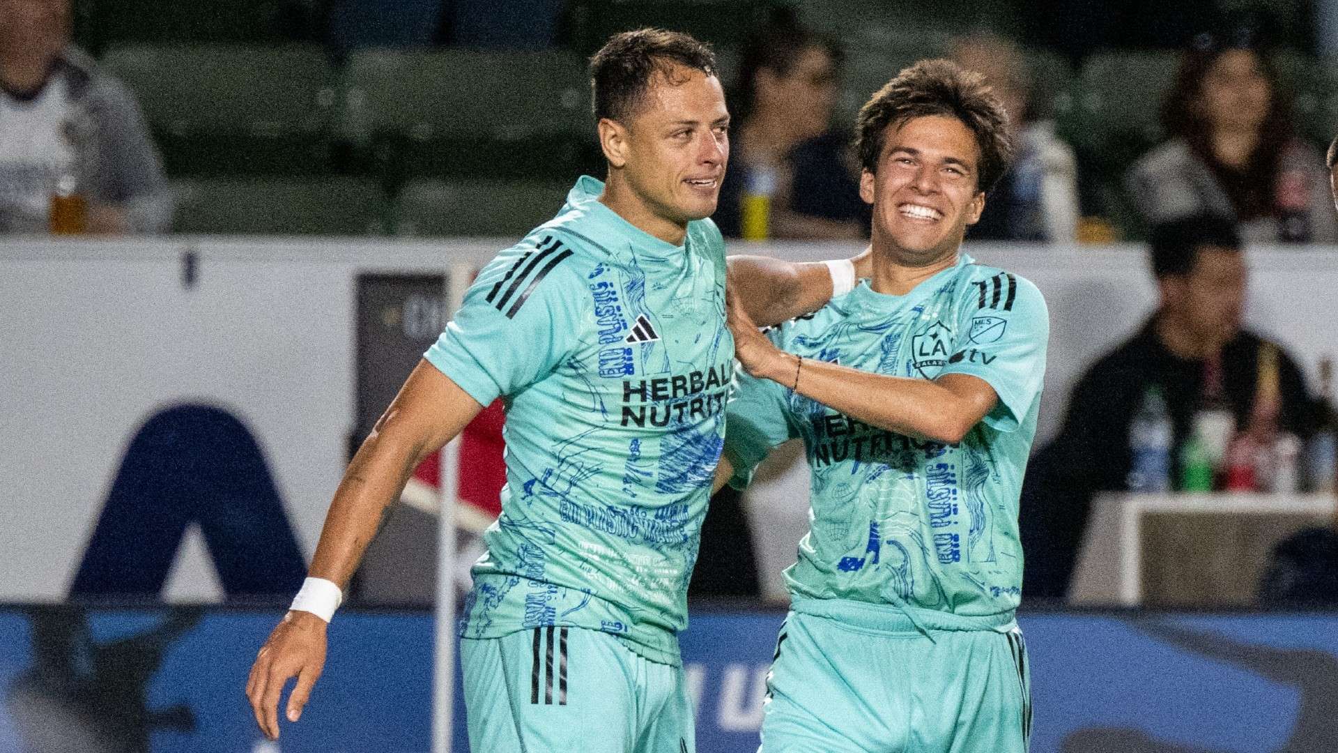 己需要在训 己需要在训