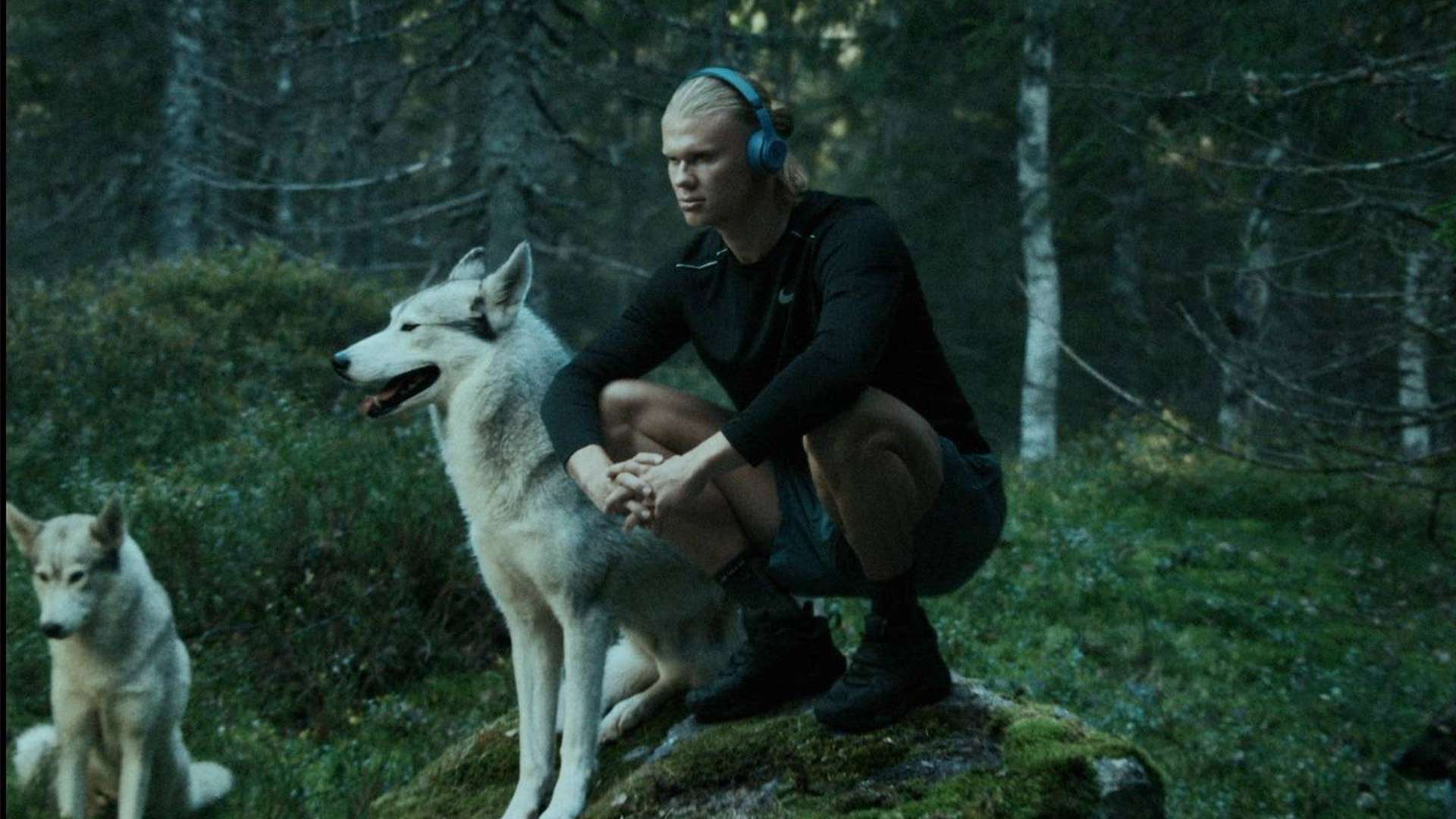 更多样化 更多样化